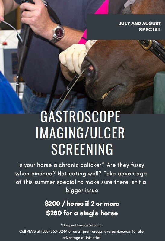 Premier Equine Services Equine Veterinary Services Schedule Today